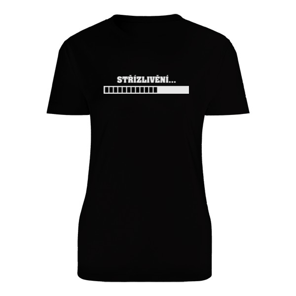 Tričko s potiskem Střízlivění